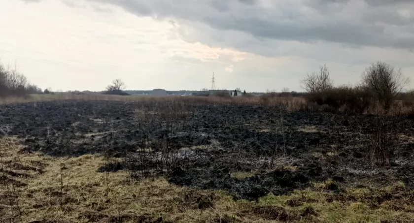 Chronówek. Pożary suchych traw już się zaczęły...