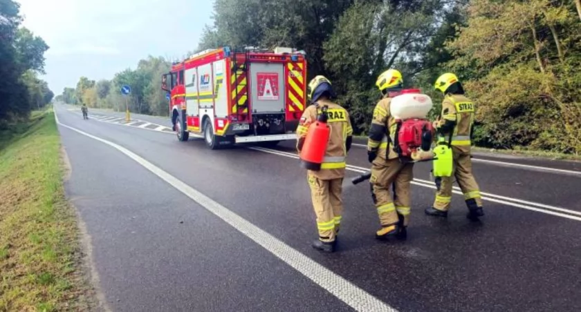 Są pieniądze na remonty i zakup samochodów dla OSP z powiatu szydłowieckiego