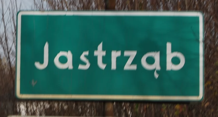 Jastrząb. Zobacz ile głosów zdobył Twój kandydat do Rady Masta!