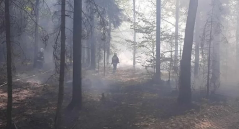 Co robili strażacy z powiatu szydłowieckiego w minionym tygodniu?