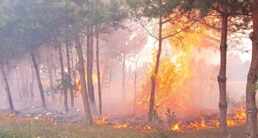 Strażacy z Orońska w akcji. Dwa pożary opanowane w jednym dniu