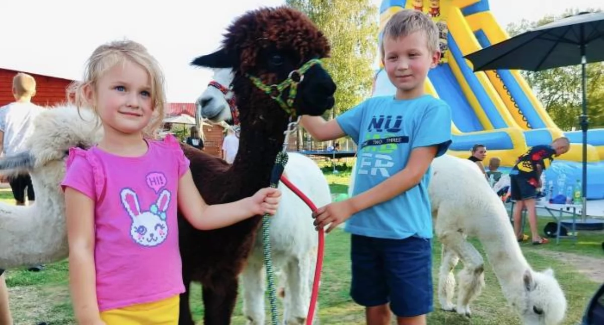 W gminie Chlewiska. Dzieci i przecudne zwierzęta