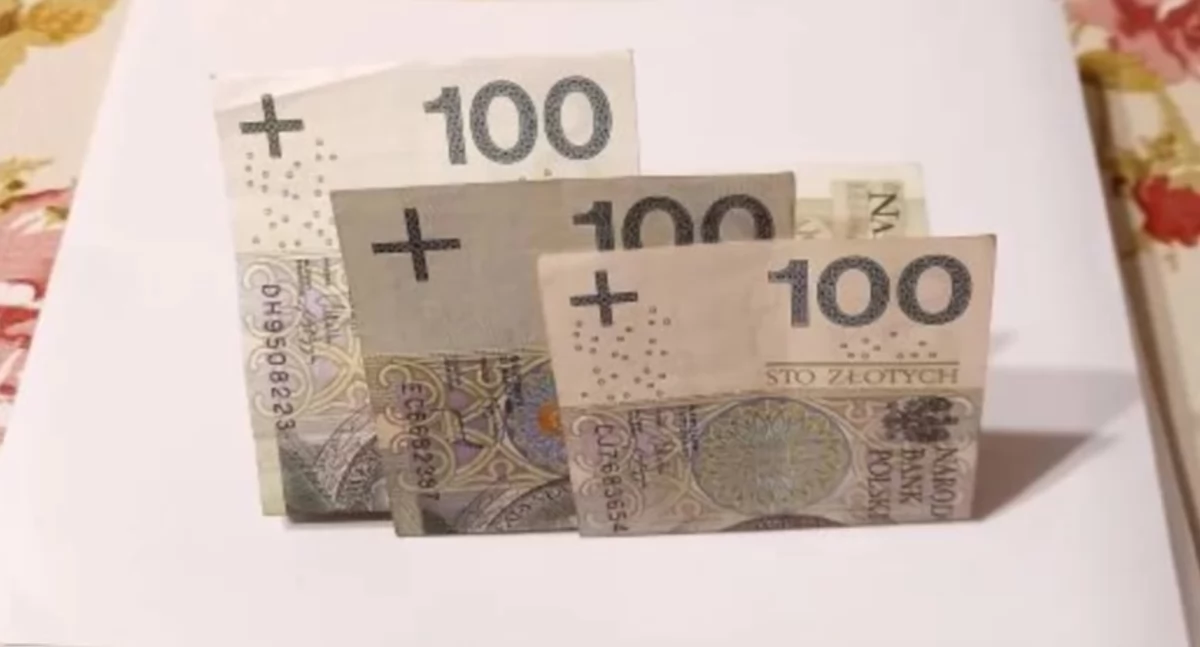 Dofinansowanie na świetlice wiejskie w Zbijowie Dużym, Mirowie Nowym oraz Mirówku