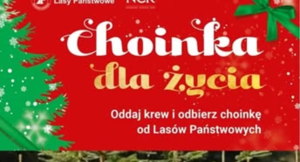 Chlewiska. Oddaj krew, odbierz choinkę!