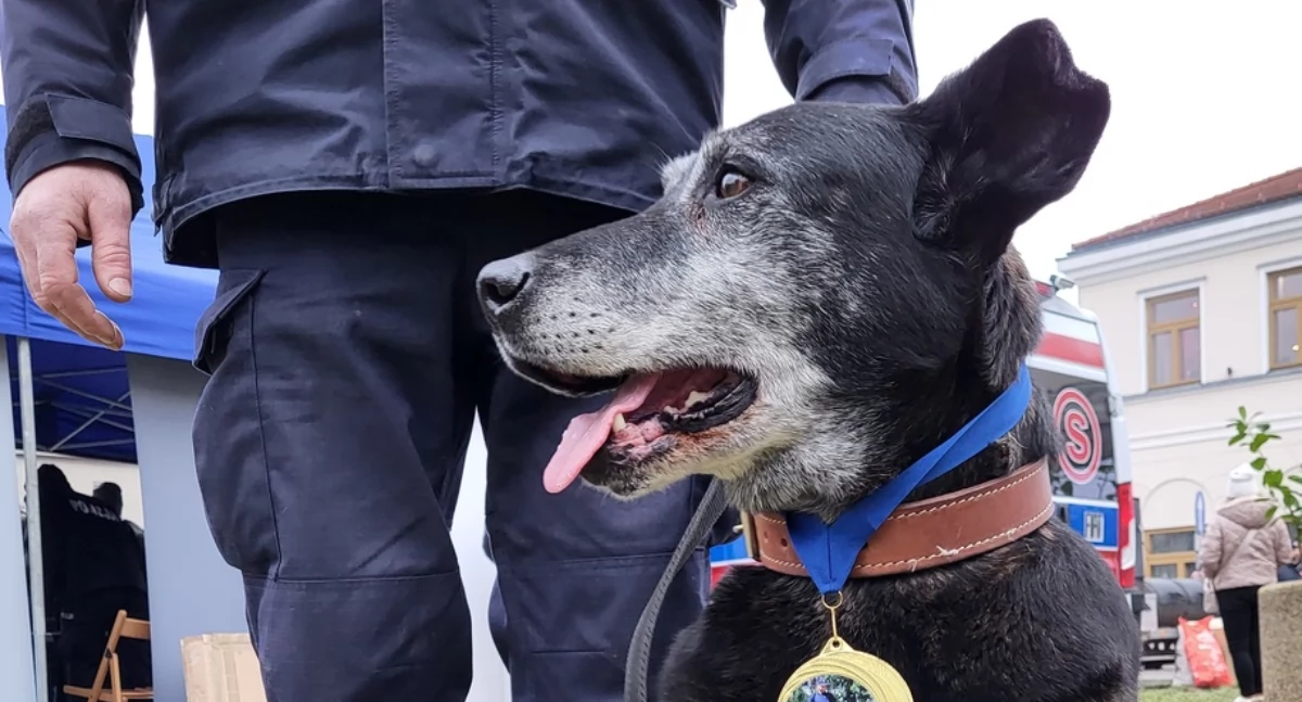Imbir zakończył służbę w szydłowieckiej policji