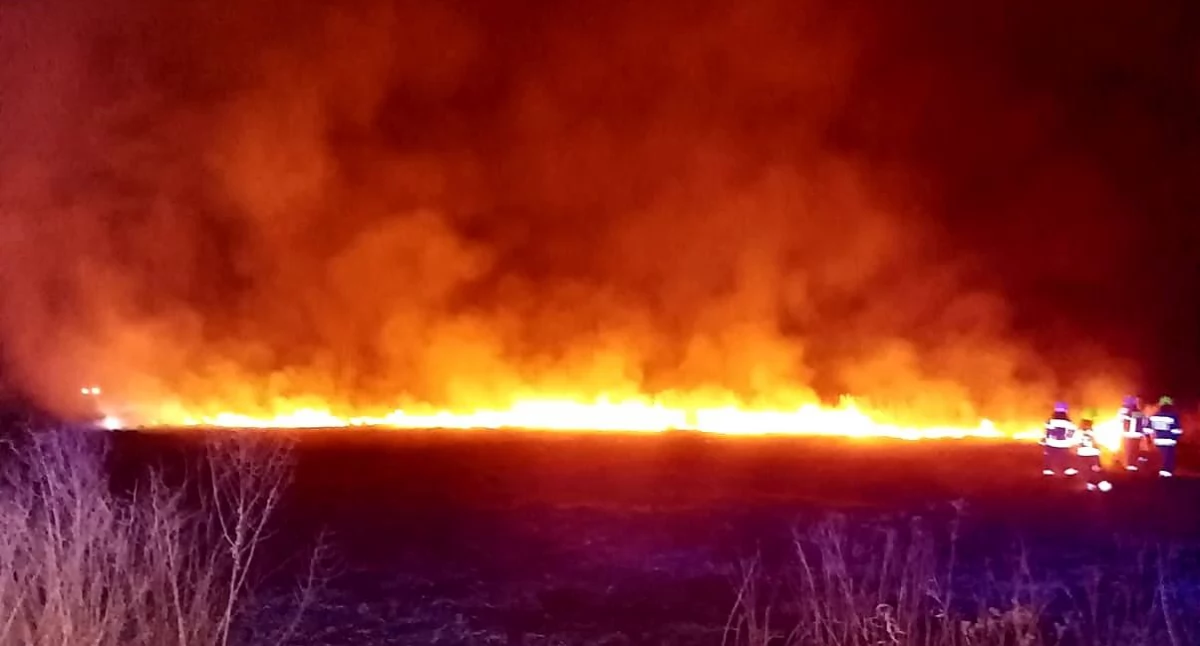 Fala pożarów suchych traw! Strażacy interweniowali kilkukrotnie jednego dnia