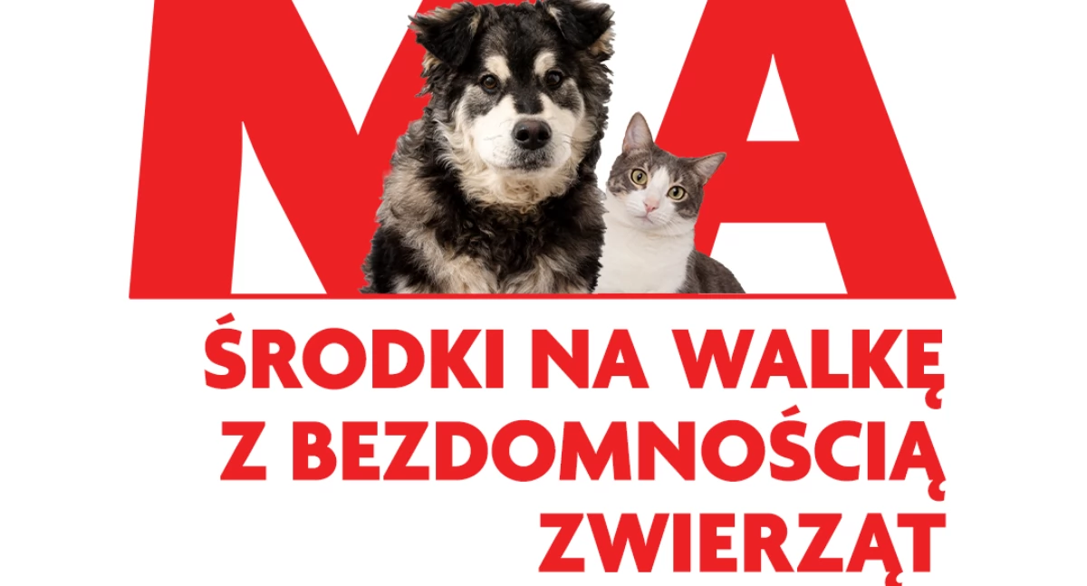 Mazowsze dla zwierząt – pieniądze na walkę z bezdomnością psów i kotów dla Chlewisk, Jastrzębia, Mirowa i  Orońska