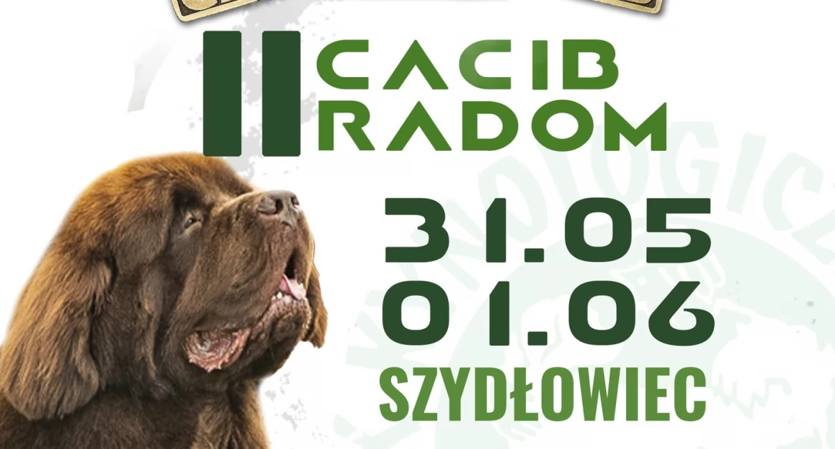 II Międzynarodowa Wystawa Psów Rasowych w Szydłowcu – zobacz najpiękniejsze czworonogi!