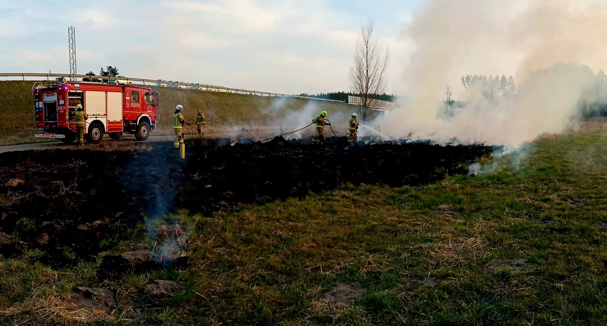 Płonęły suche trawy w Krogulczej Suchej – interwencja straży pożarnej 