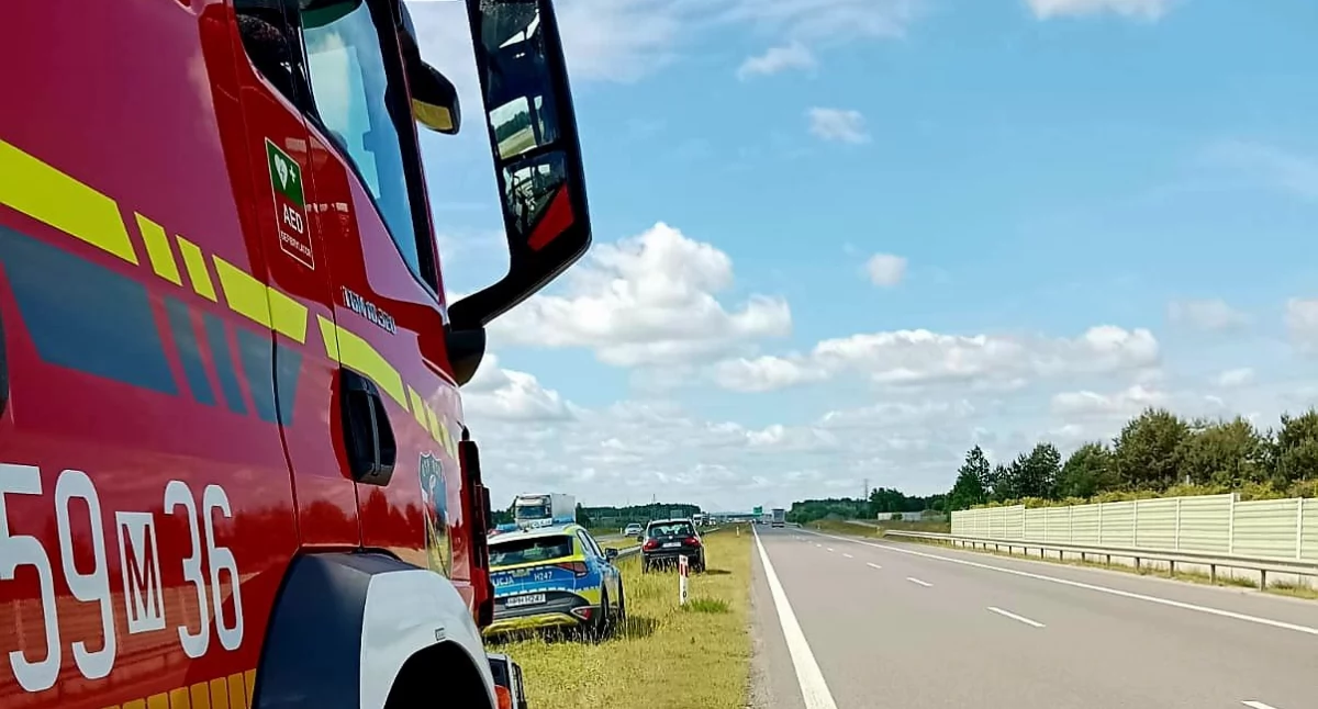 Zderzenie auta z bocianem na trasie S7. Ptak nie przeżył