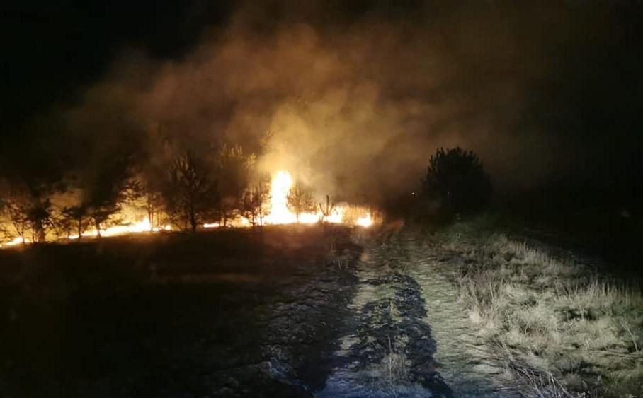 Ogniowe trawiaste rekordy. Tylko wczoraj 22 pożary!