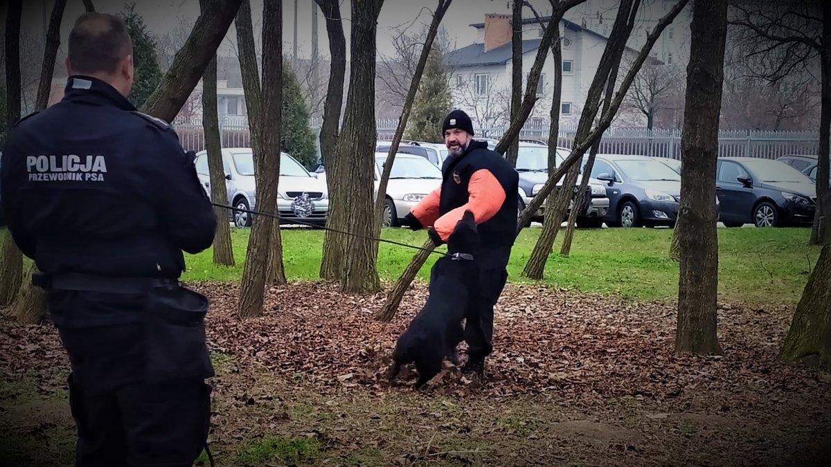 Psy patrolowo - tropiące na szkoleniu