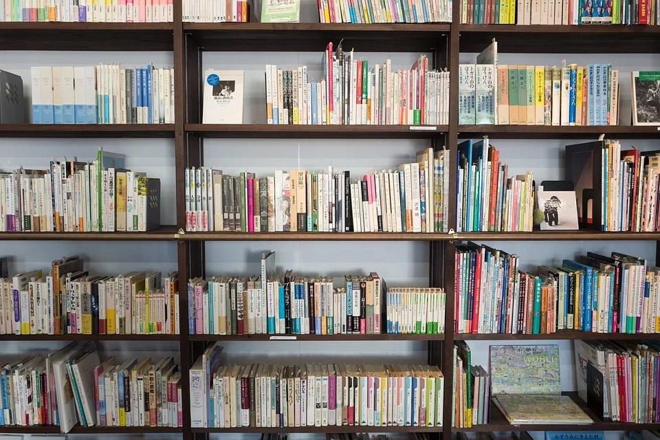 Zakup nowości wydawniczych dla bibliotek