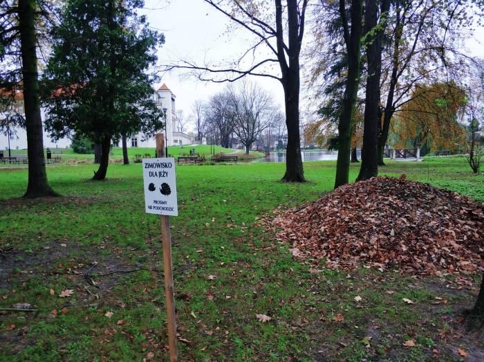 Zimowiska dla jeży