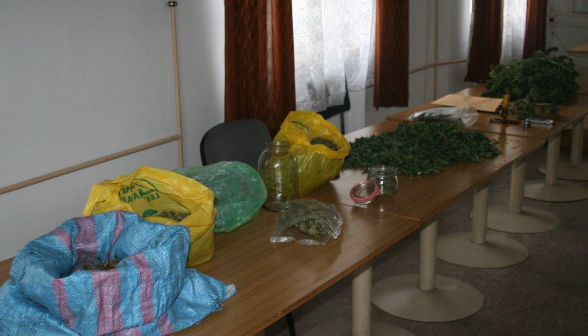 Kryminalni ujawnili 5 kg marihuany