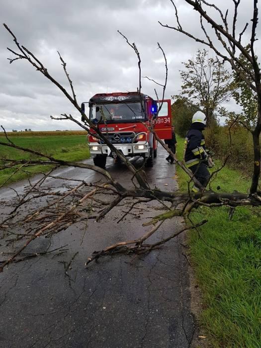 Poniedziałkowa wichura szalała... Połamane drzewa na drogach i zerwana energetyczna linia
