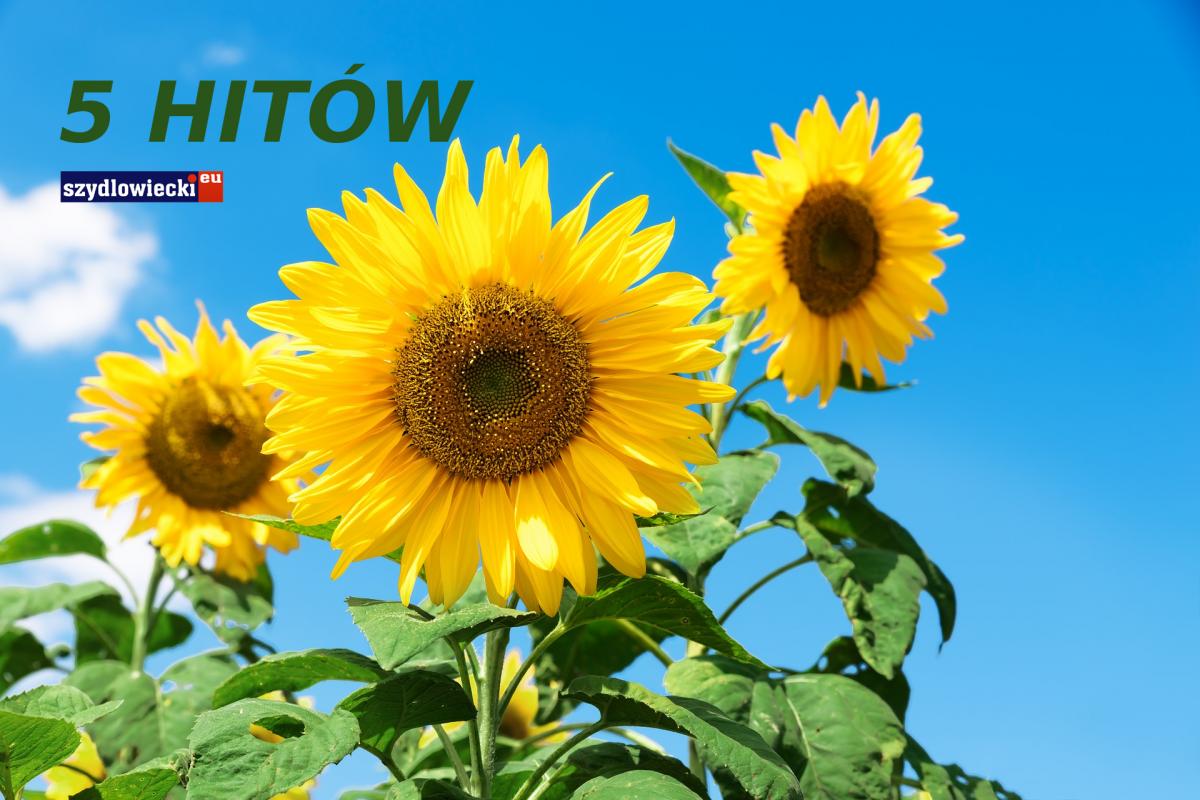 Pięć najciekawszych tekstów września!