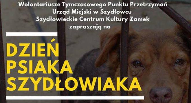 Już jutro. Dzień psiaka szydłowiaka. Dużo atrakcji