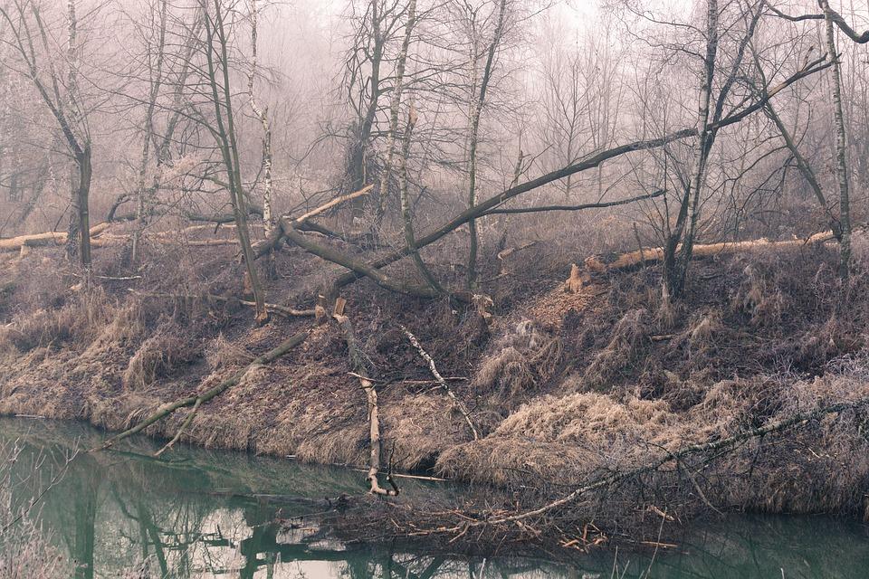 Wichura drzewa powaliła