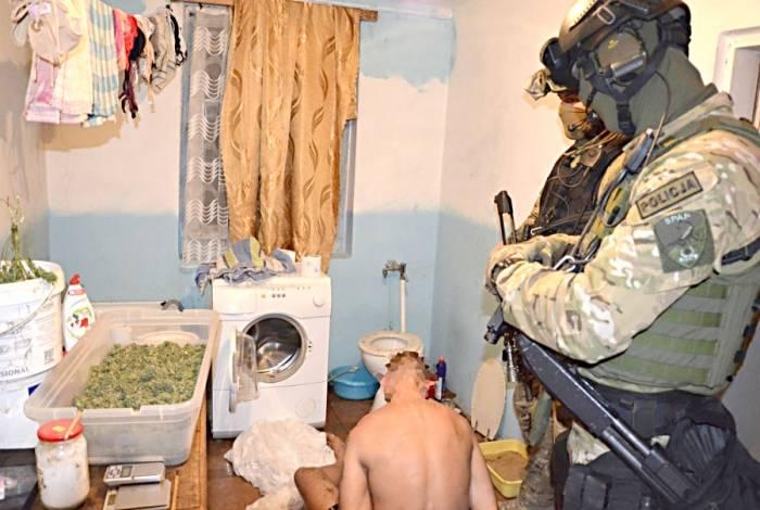 Marihuana warta 70 tys. zł, broń i amunicja