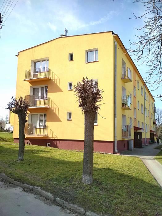 Cmentarz kikutów drzew?...