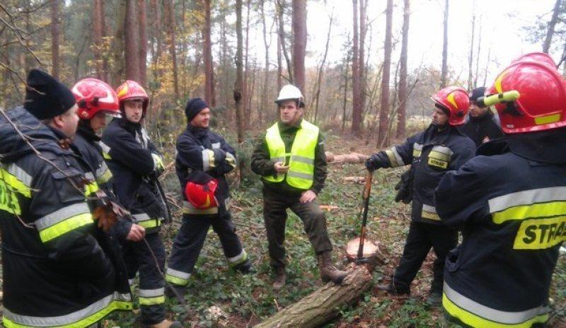 Tną jak najlepsi drwale...