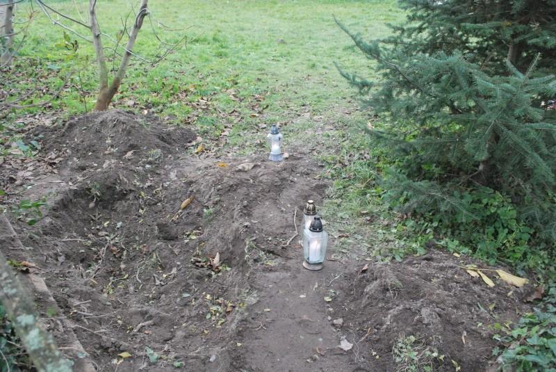 Makabryczne zabójstwo