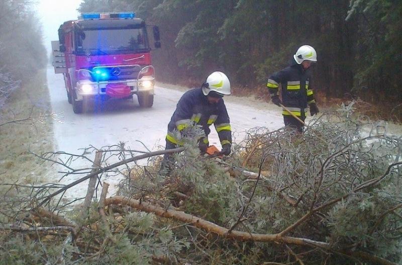Xavier szalał i drzewa obalał
