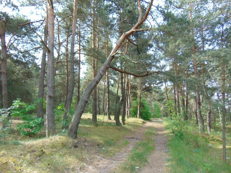 Samolotowe zrzuty o rybnym zapachu