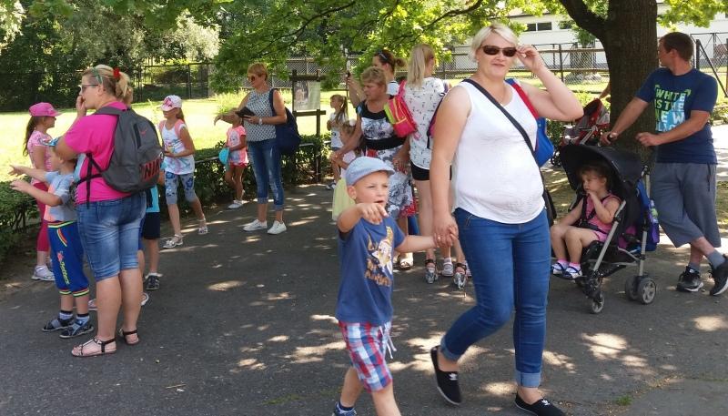 Egzotyczne zwierzęta i koralowce