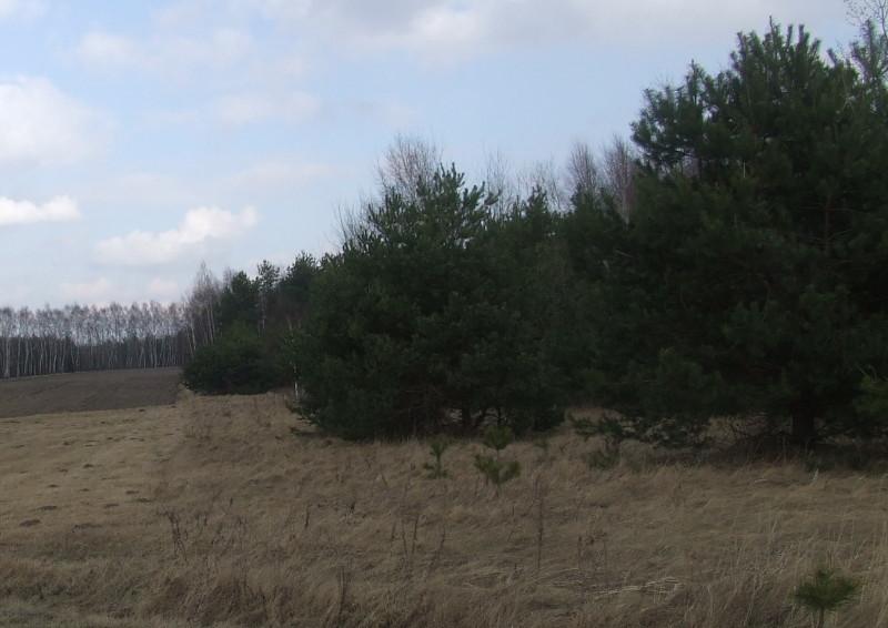 Nie tylko rekordowy piątek