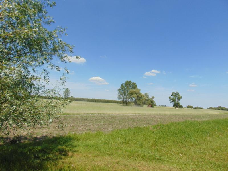Samorządowy ranking zamożności