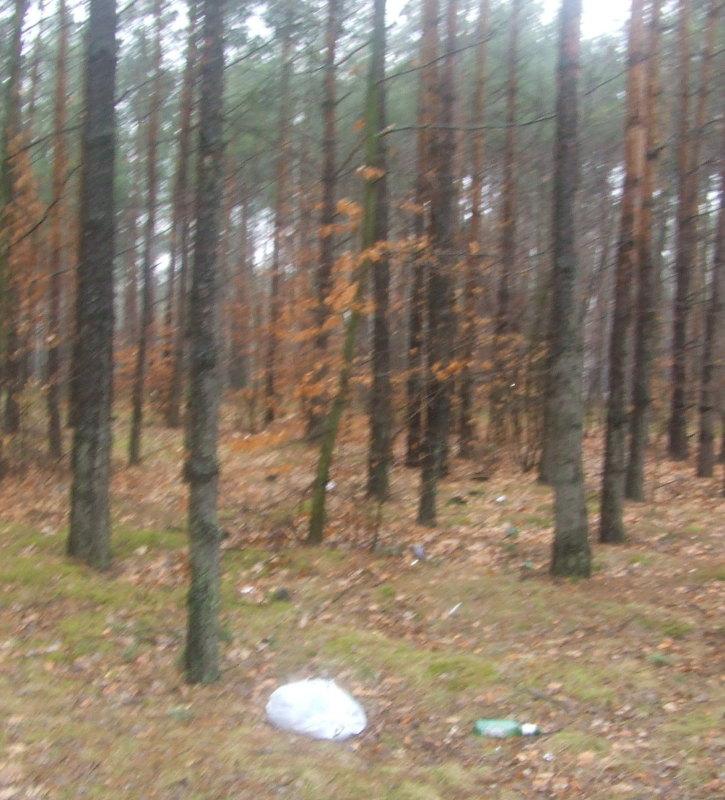 Możesz mieć zmniejszone dopłaty!