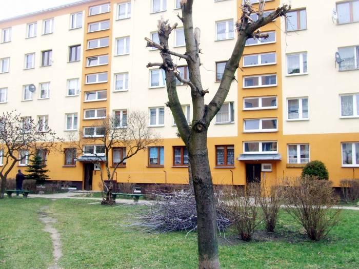 Drzew podcinanie