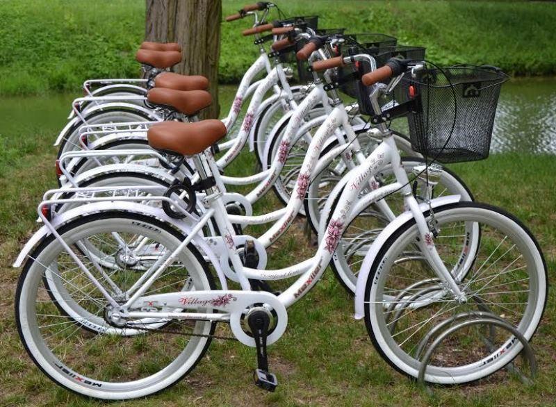 Szydłowiec z siodełka roweru