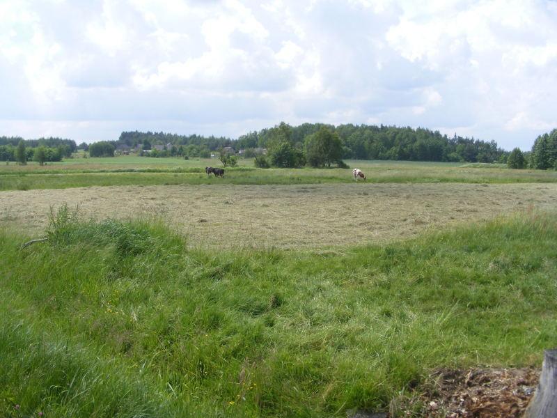Zagadkowi podpalacze - wciąż nieuchwytni
