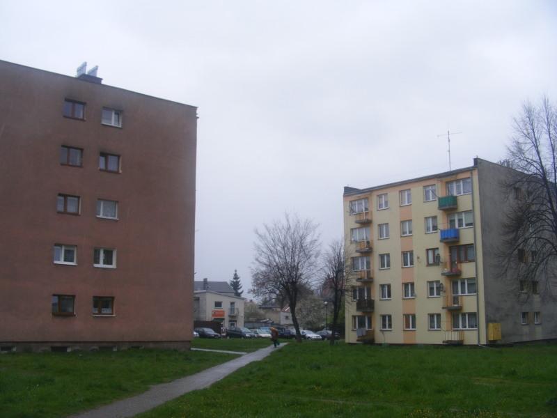 Koszenie traw inaczej