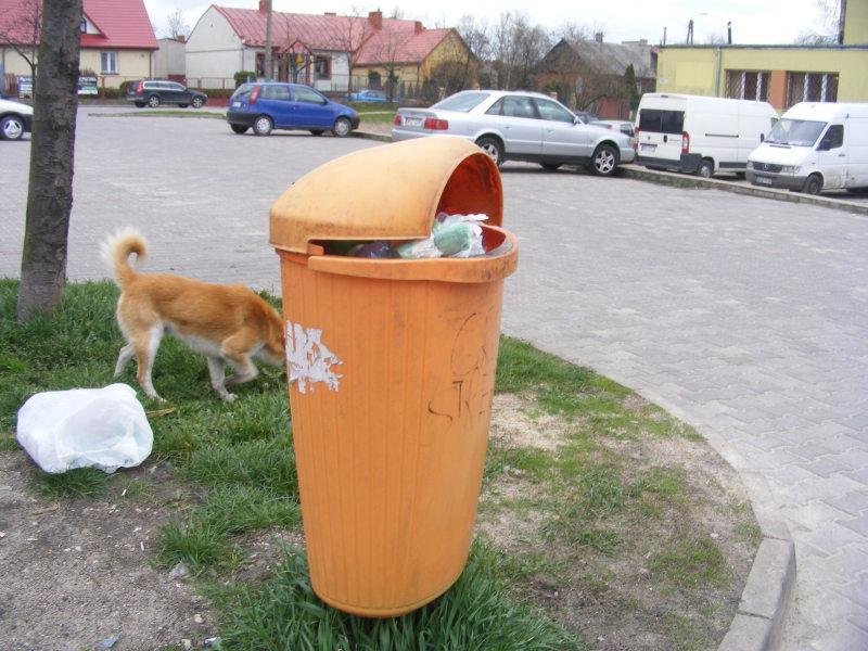 Kto ściga bałaganiarzy?