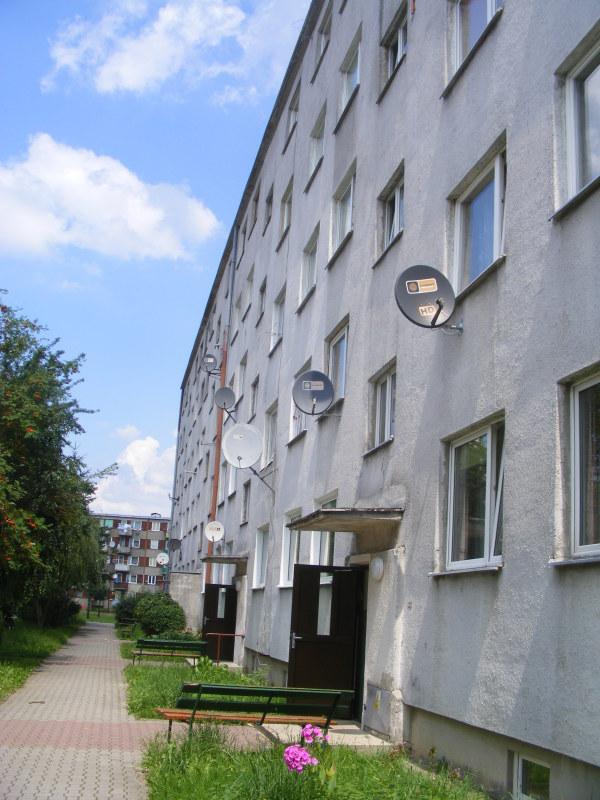Prezes został prezesem