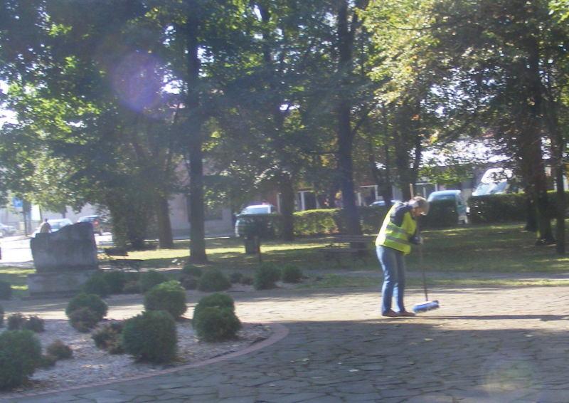 Sprzątają i wycinają