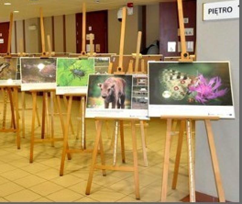 Fotograficzna wystawa