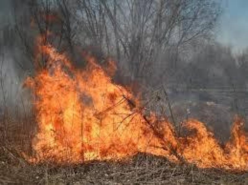Śmierć czyha w palących się trawach