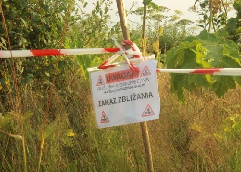 Już trzy przypadki