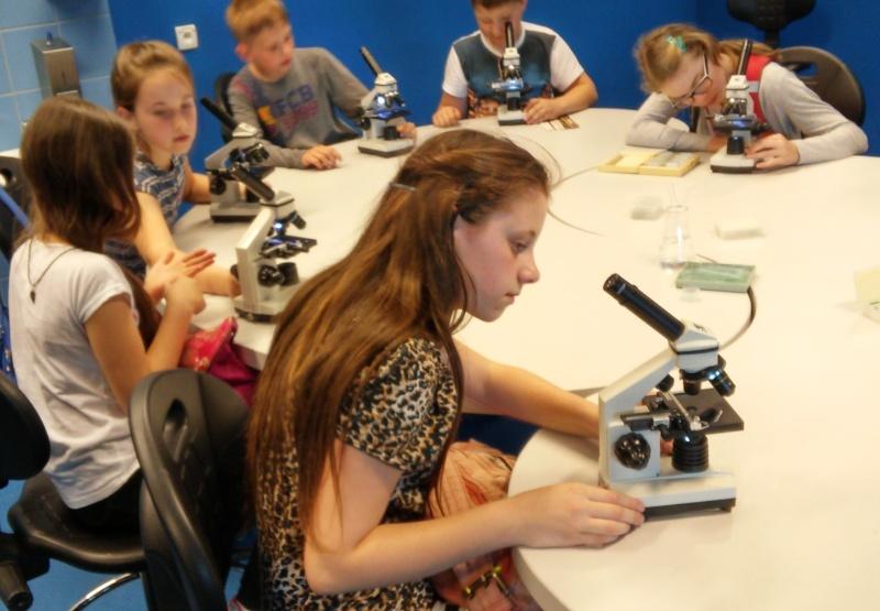 Samoloty, miniatury i Leonardo