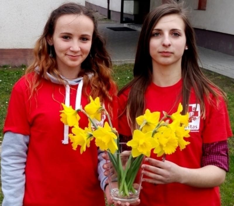 Żonkilowa akcja