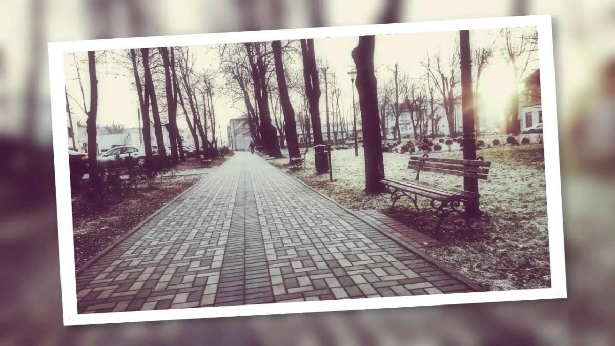 Szydłowiec w obiektywie