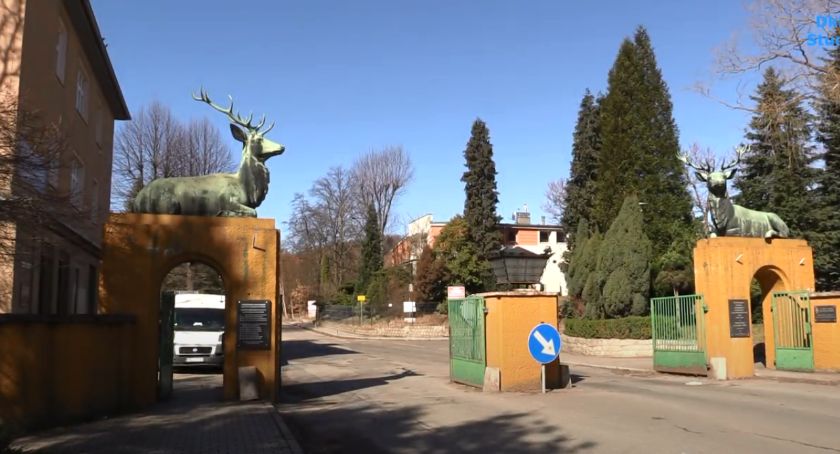 Pomnik 