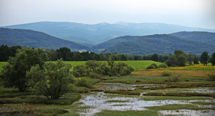 Jezioro Sobieszowskie – suchy zbiornik przeciwpowodziowy