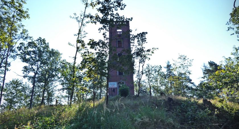 Góra Sołtysia z wieżą widokową w Cieplicach