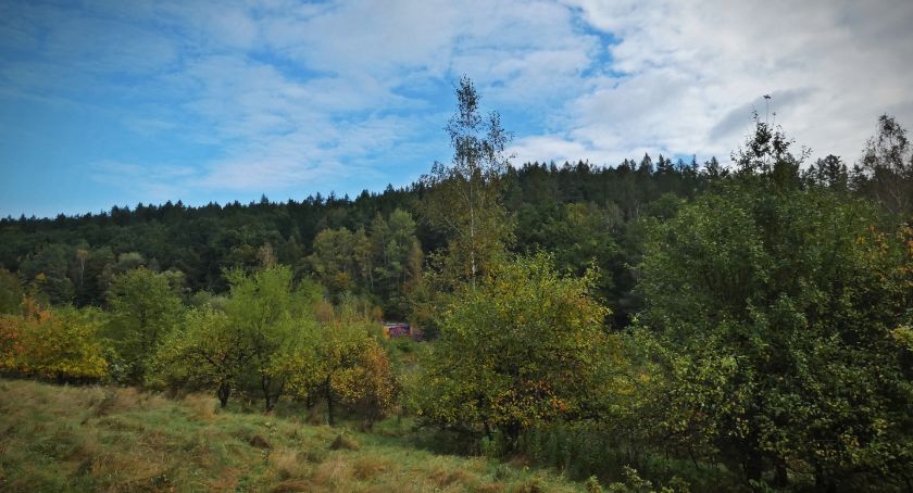 Pastwa – dawniej popularny punkt widokowy na Karkonosze